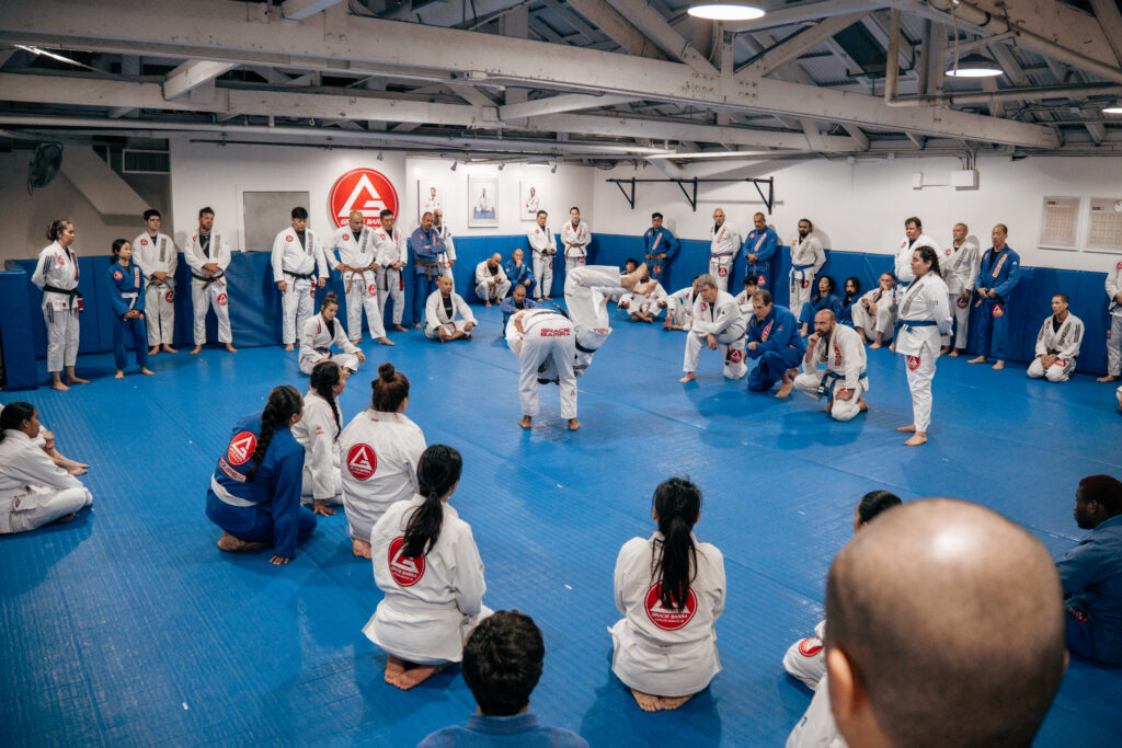 Adult Brazilian Jiu‑Jitsu training