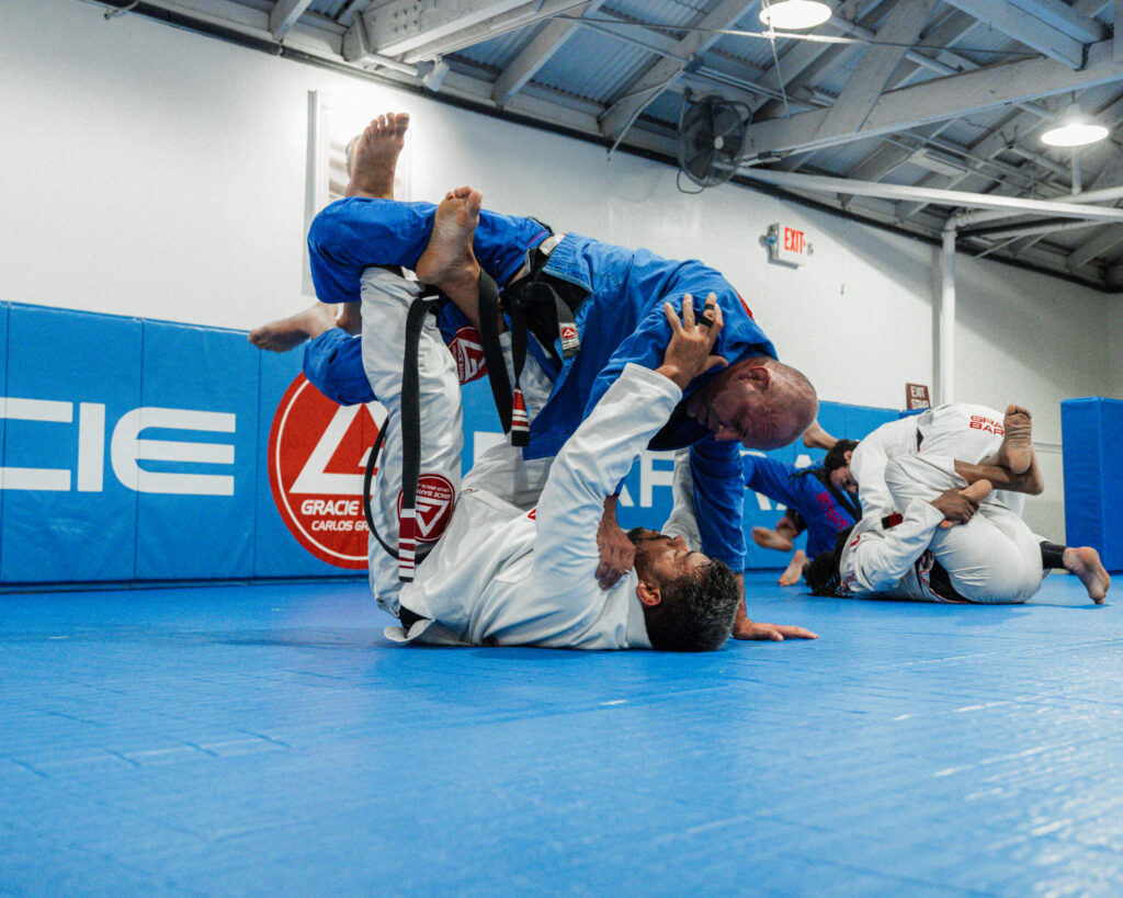 Official Brazilian Jiu‑Jitsu MMA program image