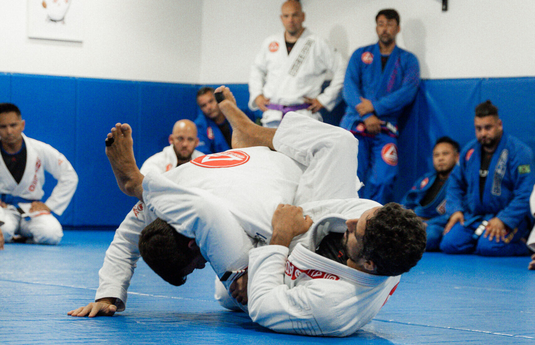 adult bjj class near me